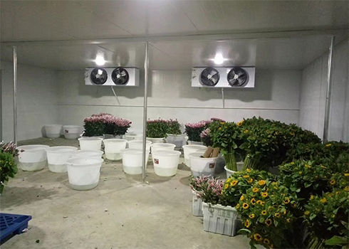 鮮花保鮮日皮网站在线观看建造
