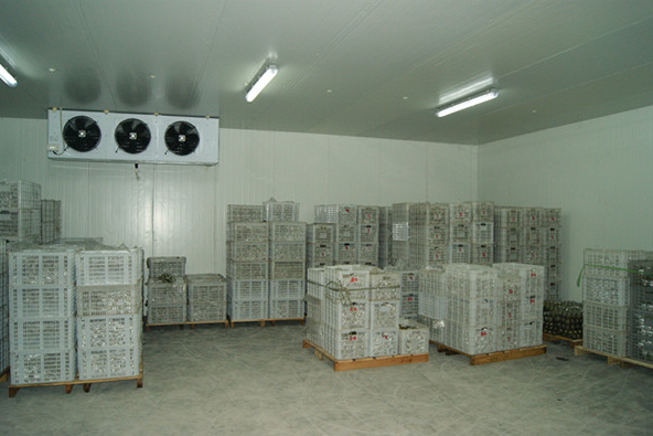 氣調日皮网站在线观看建造廠家 氣調日皮网站在线观看建造廠家