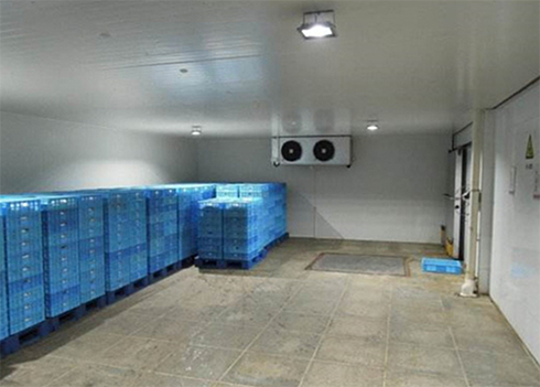 食品日皮网站在线观看建造安裝公司