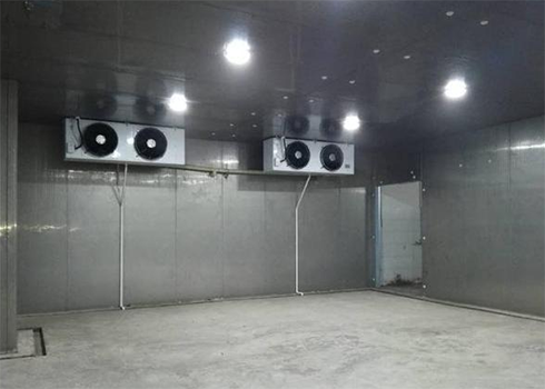 土豆保鮮日皮网站在线观看建造