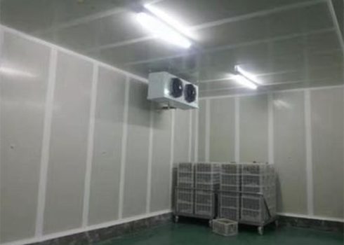 設計建造食品日皮网站在线观看安裝