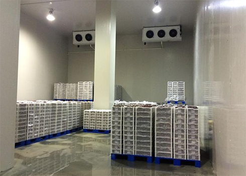 食品日皮网站在线观看建造安裝