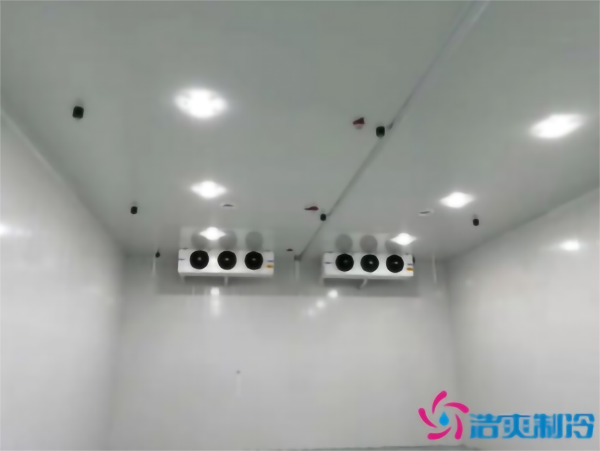 -30℃速凍水餃日皮网站在线观看安裝 -30℃速凍水餃日皮网站在线观看安裝