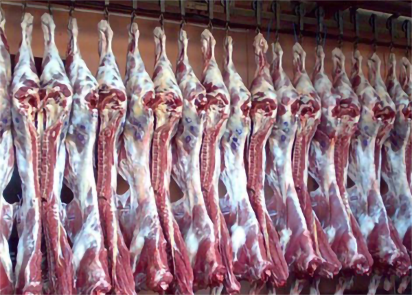 牛肉日皮网站在线观看建造溫濕度需求