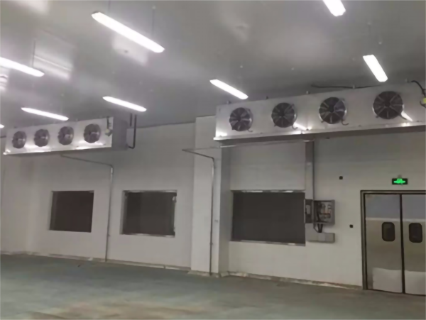 保鮮日皮网站在线观看耗電量的影響因素