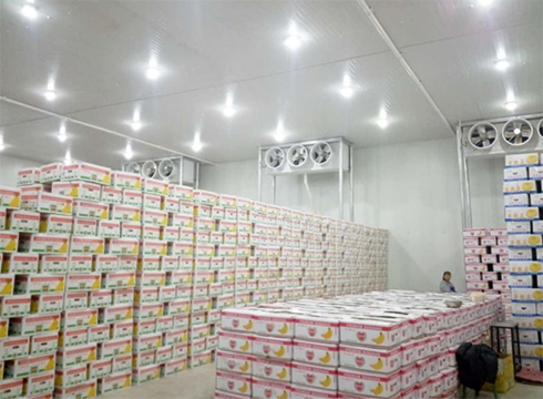大型食品日皮网站在线观看建造