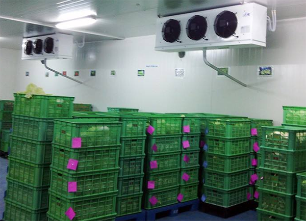 檸檬日皮网站在线观看的存儲要求有哪些？_日皮APP免费下载製冷
