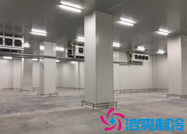 建造小型日皮网站在线观看造價費用需要投資多少費用？