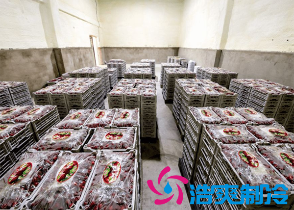 果蔬保鮮日皮网站在线观看安裝造價需要多少錢？_日皮APP免费下载製冷