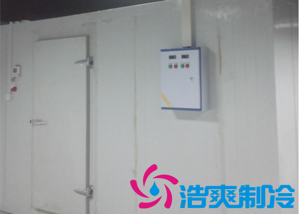 安裝一個冷藏庫造價大約多少錢一平方？_日皮APP免费下载製冷