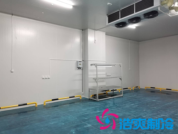 濱州健源大型食品日皮网站在线观看工程建造安裝案例