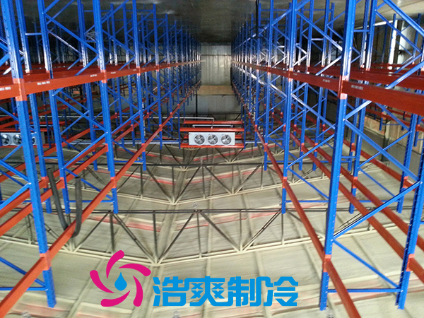 浙江建造3000m³牛肉低溫冷藏冷凍庫安裝造價是多少？_日皮APP免费下载製冷