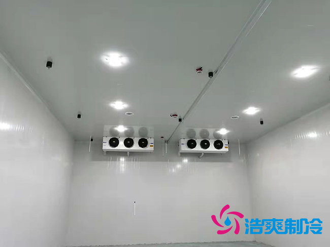 超低溫凍庫建設價格與哪些因素有關？_日皮APP免费下载製冷