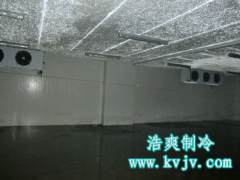 成都環球會展中心日皮网站在线观看中的一庫