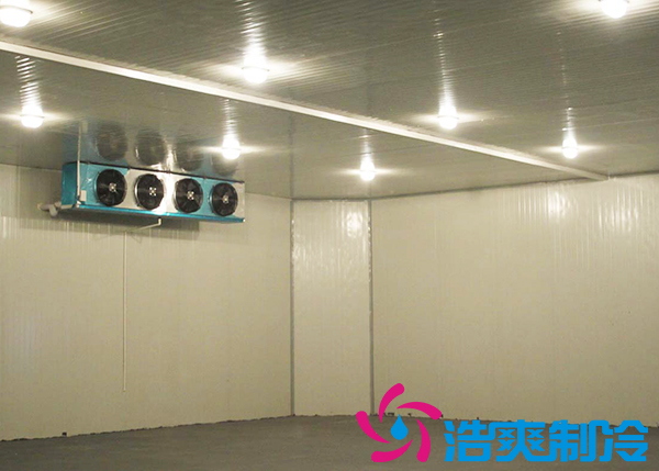 建造1000噸日皮网站在线观看造價需要多少錢？_日皮APP免费下载製冷