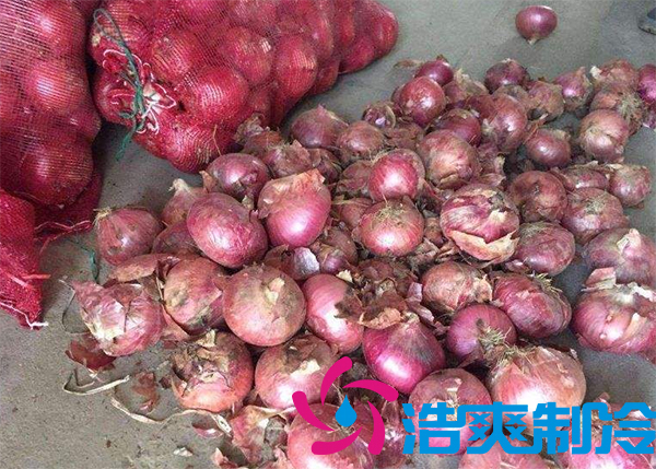 建一個洋蔥保鮮庫要多少錢呢？_日皮APP免费下载製冷
