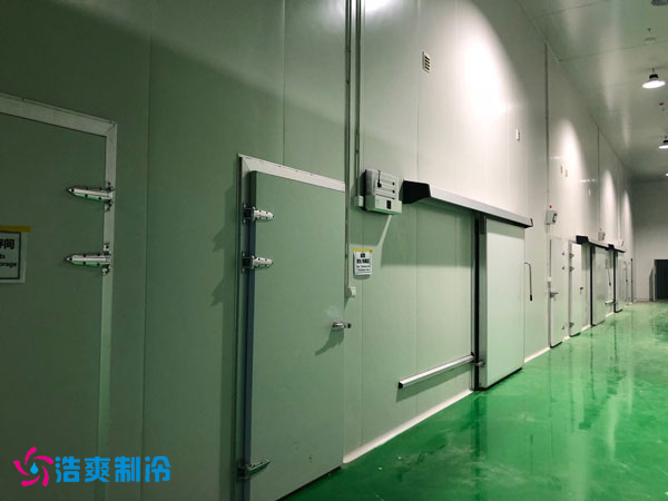 100噸香菜保鮮日皮网站在线观看安裝成本是多少？_日皮APP免费下载製冷