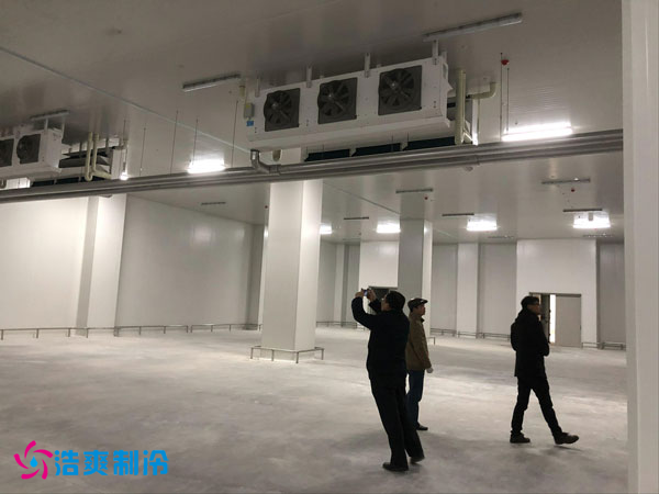 建造一間鳳梨保鮮日皮网站在线观看費用需要多少錢？_日皮APP免费下载製冷