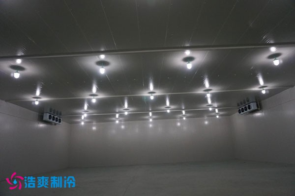湖北冷源冷鏈高低溫日皮网站在线观看建造安裝