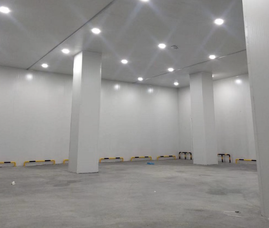 洋蔥日皮网站在线观看建造需要多少錢？溫度需求是多少？_日皮APP免费下载製冷