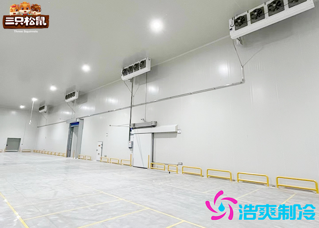 安徽三隻鬆鼠30000m³食品日皮网站在线观看建造