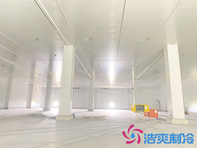 新建100噸桃子日皮网站在线观看要多少錢？_日皮APP免费下载製冷