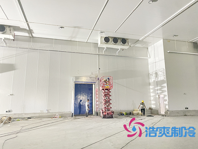 新建100噸桃子日皮网站在线观看要多少錢？_日皮APP免费下载製冷