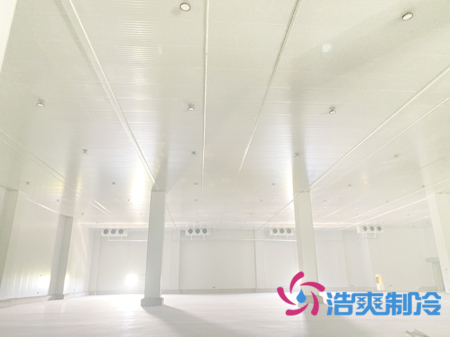 日皮网站在线观看安裝前需要清楚了解哪些基本信息？_日皮APP免费下载製冷
