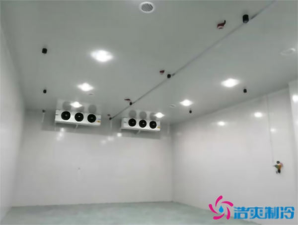 調味料日皮网站在线观看溫度需求，建一個食品調味料日皮网站在线观看多少錢？_日皮APP免费下载製冷