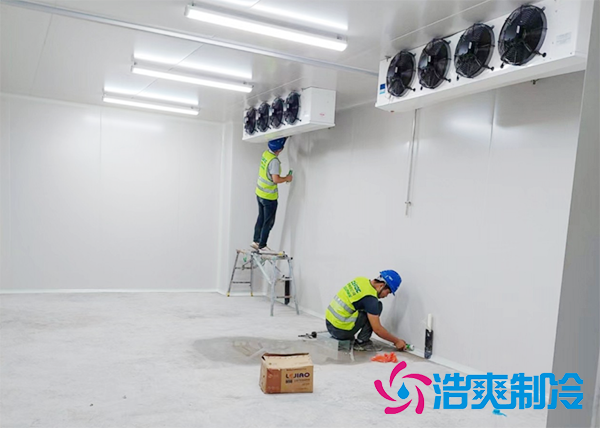 1000平米大型排骨日皮网站在线观看建造設計方案,排骨冷凍庫安裝造價預算多少錢？-日皮APP免费下载製冷
