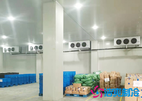 大型蔬菜日皮网站在线观看建造價格多少錢,果蔬保鮮冷藏庫安裝設計規範-日皮APP免费下载製冷 大型蔬菜日皮网站在线观看建造價格多少錢,果蔬保鮮冷藏庫安裝設計規範-日皮APP免费下载製冷