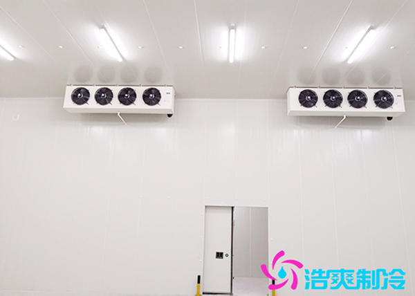 建造安裝一個200噸日皮网站在线观看造價要花多少錢?-日皮APP免费下载製冷