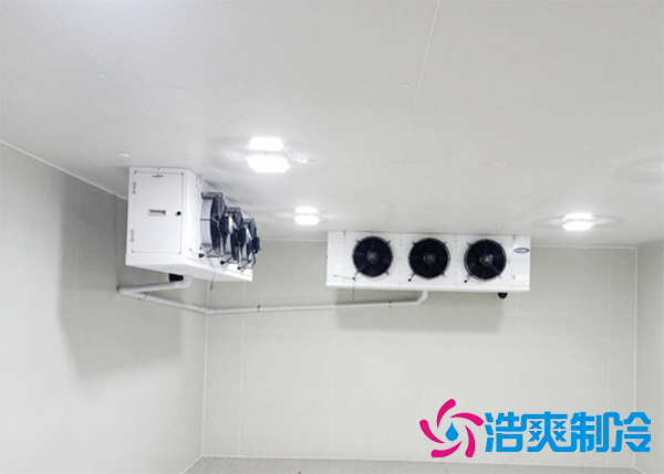水果批發市場建造水果保鮮日皮网站在线观看報價大概需要多少錢？-日皮APP免费下载製冷