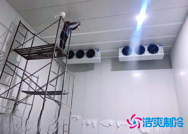 建造一個果蔬種植園氣調日皮网站在线观看安裝造價大概投資多少錢？-日皮APP免费下载製冷
