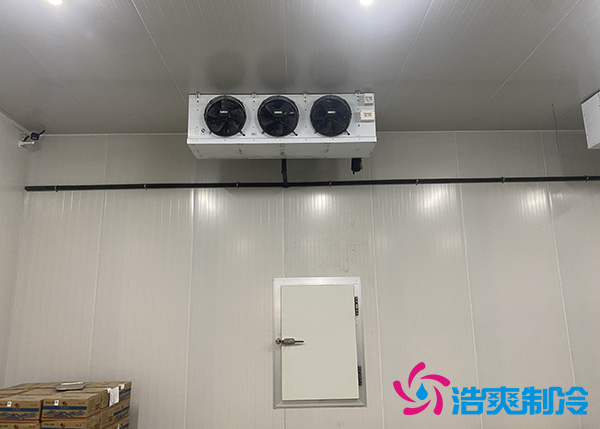 生鮮蔬菜市場日皮网站在线观看應該建多大？-日皮APP免费下载製冷