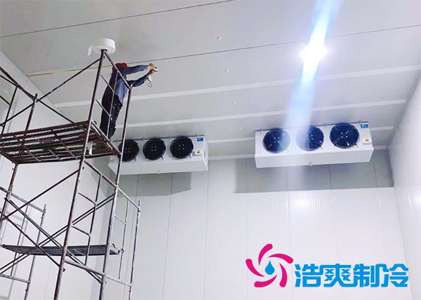 果蔬原產地建造500噸氣調日皮网站在线观看造價成本多少錢？-日皮APP免费下载製冷