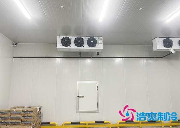 農產品批發市場建造700立方保鮮日皮网站在线观看全套製冷設備報價多少錢？-日皮APP免费下载製冷