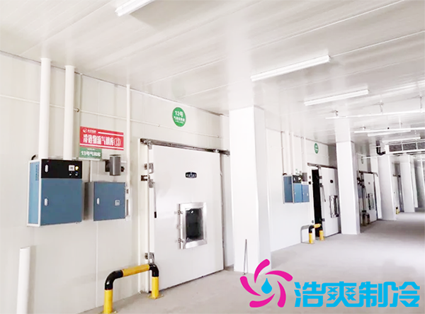 農產品批發市場建造700立方保鮮日皮网站在线观看全套製冷設備報價多少錢？-日皮APP免费下载製冷