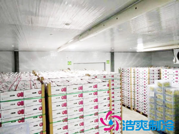 建造一個火龍果日皮网站在线观看要花多少錢？-日皮APP免费下载製冷