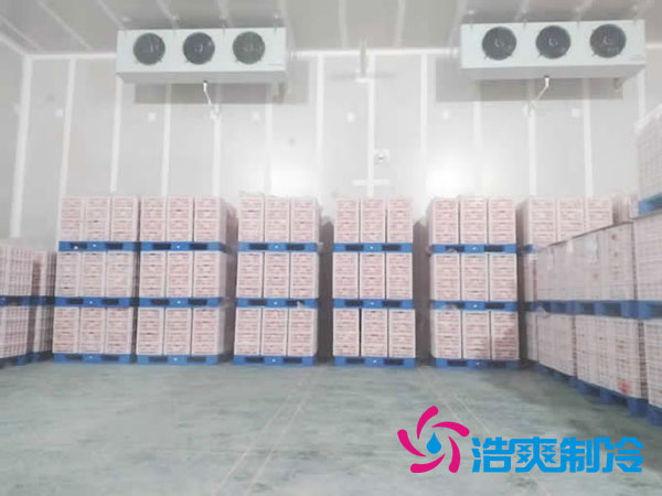 什麽是氣調日皮网站在线观看？氣調庫工作原理