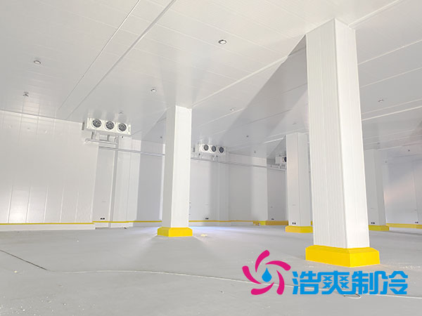 上海低溫冷凍庫建造廠家-日皮APP免费下载製冷 上海低溫冷凍庫建造廠家-日皮APP免费下载製冷