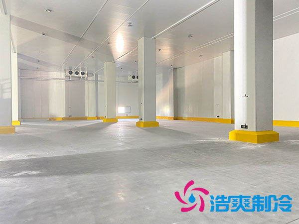 建一個30噸的日皮网站在线观看需多少錢？-日皮APP免费下载製冷