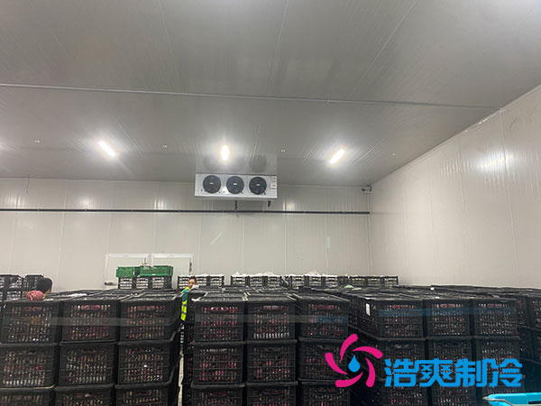 嘉定雞蛋日皮网站在线观看安裝建造多少錢？-日皮APP免费下载製冷