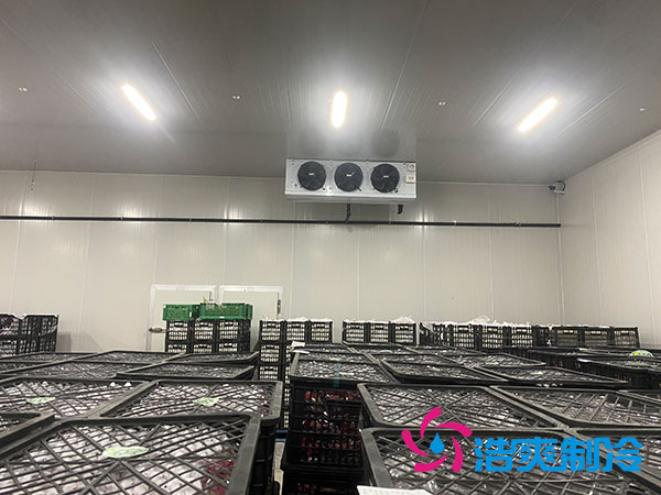 嘉定雞蛋日皮网站在线观看安裝建造多少錢？-日皮APP免费下载製冷