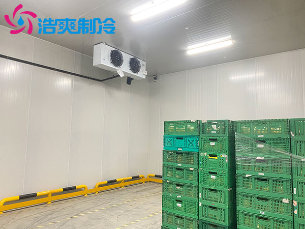 寧波1000平米冷藏庫建造大概多少錢？-日皮APP免费下载製冷