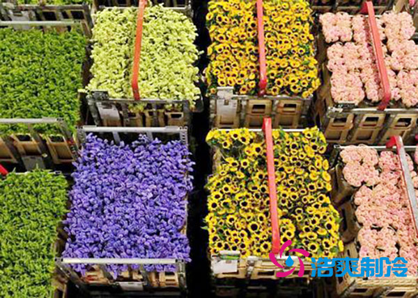 花卉日皮网站在线观看安裝預算造價多少錢？-日皮APP免费下载製冷