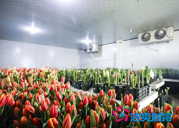 花卉日皮网站在线观看安裝預算造價多少錢？-日皮APP免费下载製冷