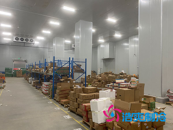 100噸日皮网站在线观看造價多少錢？2023年100噸日皮网站在线观看造價表-日皮APP免费下载製冷