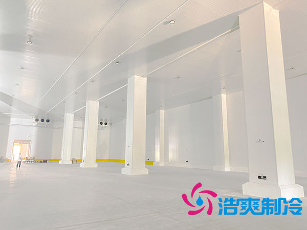 建500噸日皮网站在线观看大約需要多少錢？-日皮APP免费下载製冷