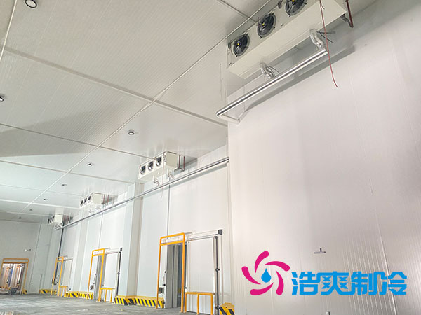 1千噸日皮网站在线观看大概需要投資多少錢？1000噸日皮网站在线观看造價表配置清單-日皮APP免费下载製冷
